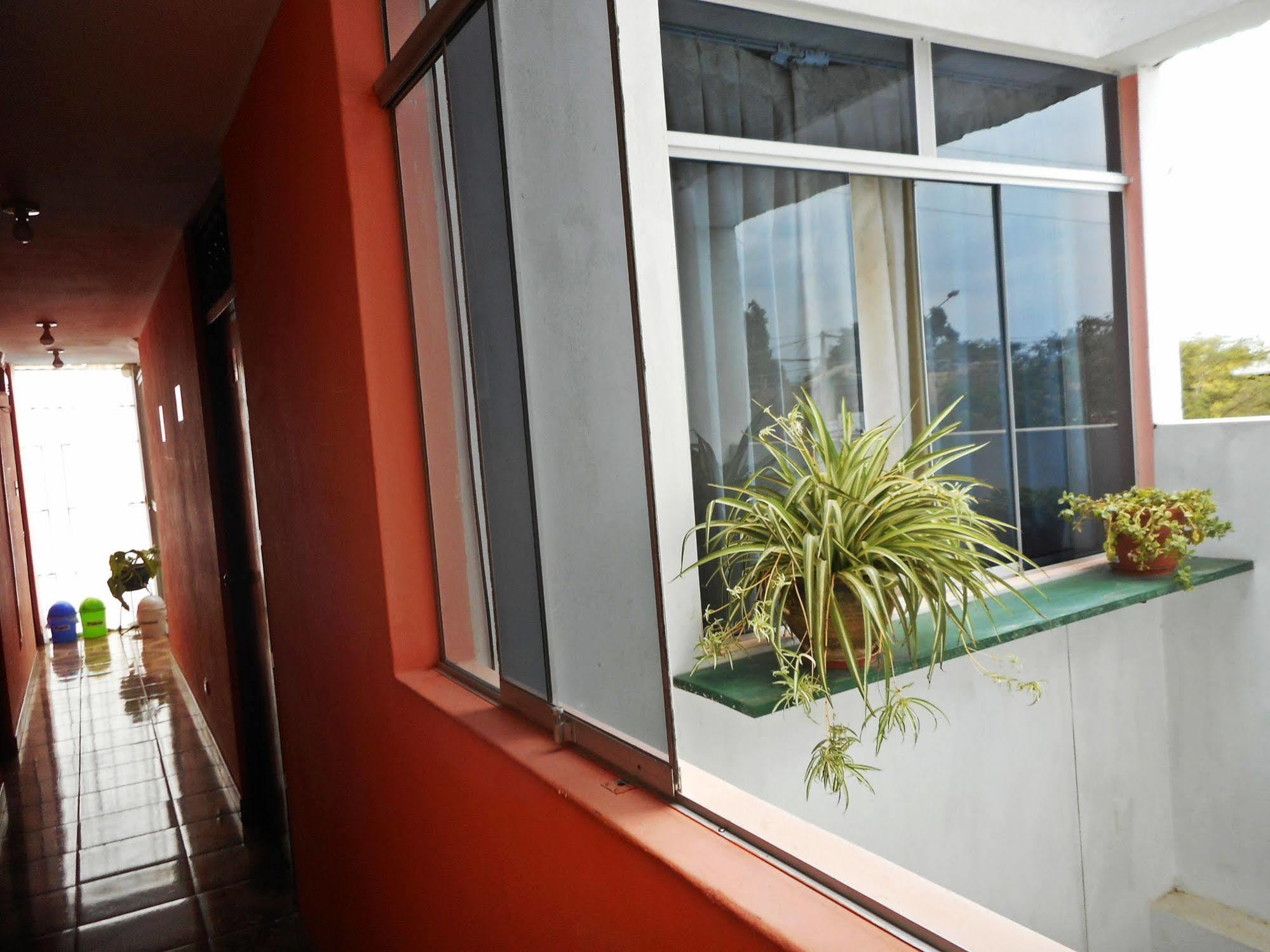 Hostal Geminis San Juan Bautista المظهر الخارجي الصورة
